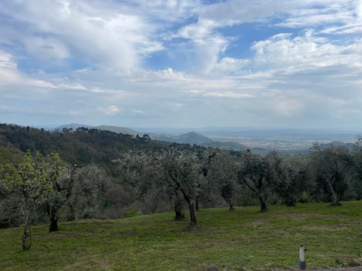 Podere Il Poggio Avaglio Dış mekan fotoğraf
