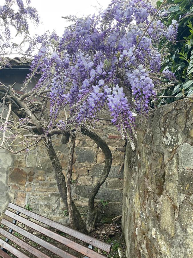 Podere Il Poggio Avaglio Dış mekan fotoğraf
