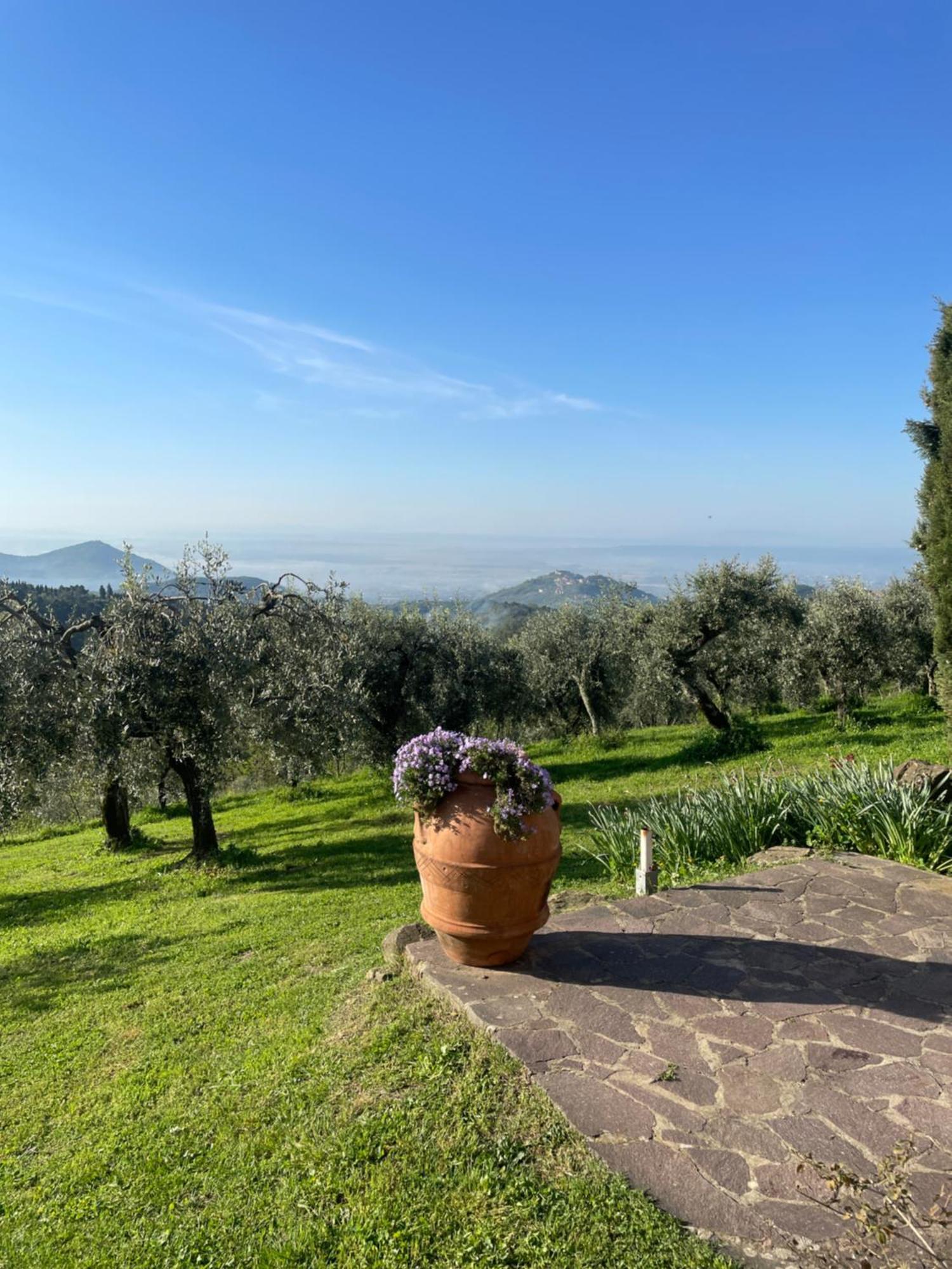 Podere Il Poggio Avaglio Dış mekan fotoğraf
